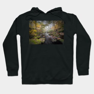 Misty Woodland Stream in Autumn Hoodie